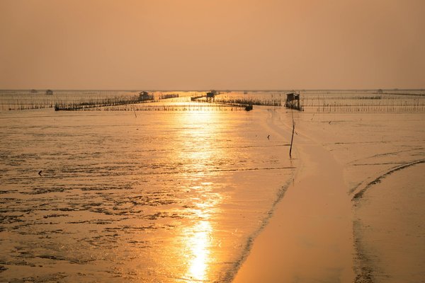Le charme des petits campings de la Côte d'Azur